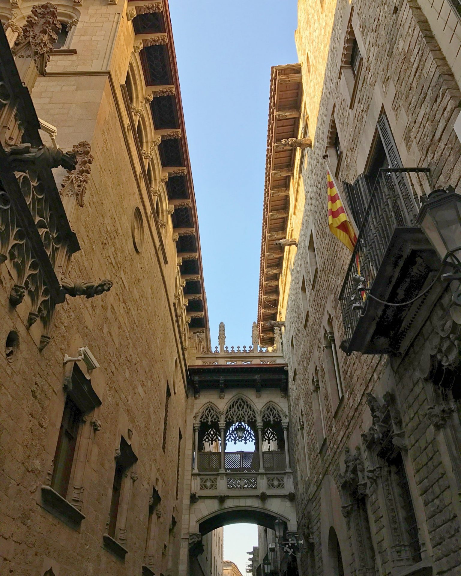 pont del bisbe barcelona scaled - 10 Best Things To Do in the Gothic Quarter of Barcelona