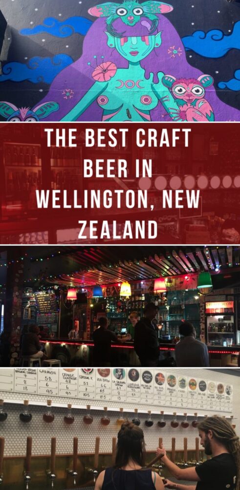 the best craft beer in wellington new zealand 491x1000 - The best craft beer in Wellington, New Zealand