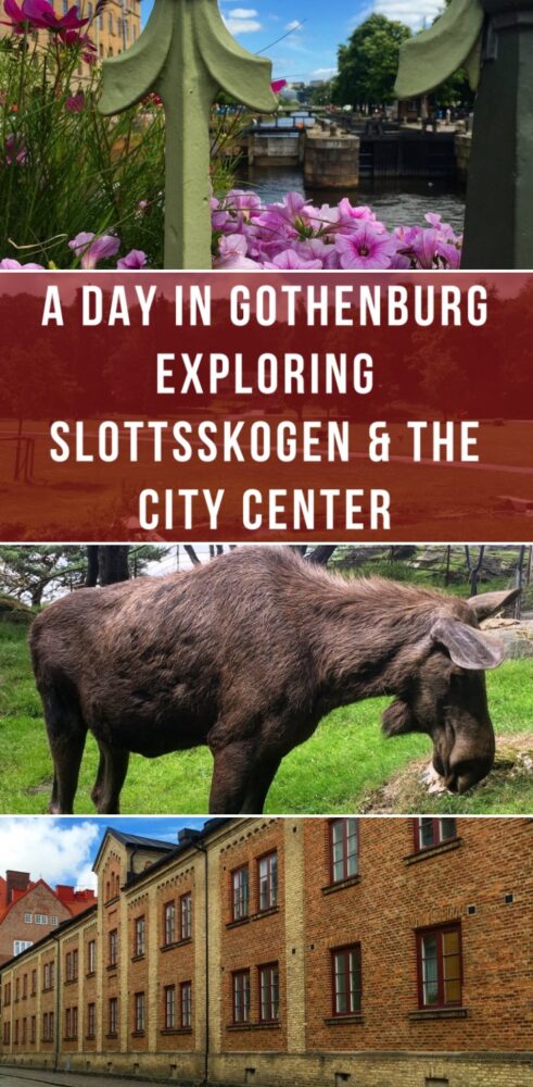 a day in gothenburg exploring slottsskogen the city center 491x1000 - Slottsskogen & the Gothenburg City Center