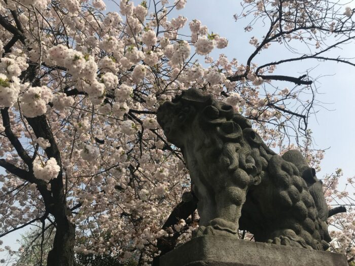 Travel Contests: August 6th, 2025 – Japan, Thailand, Charleston, & more