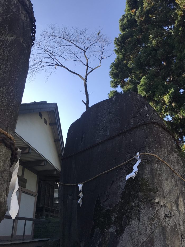 img 7702 700x933 - A visit to Mitsuishi Shrine in Morioka, Japan