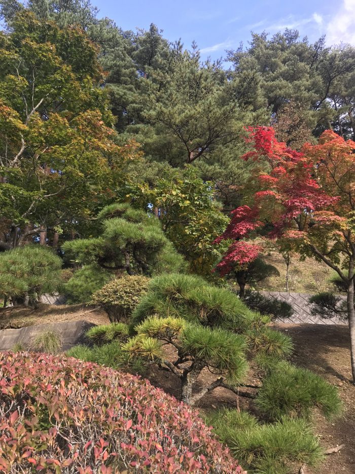 fall colors japan 700x933 - A day trip from Morioka to Tono, Japan