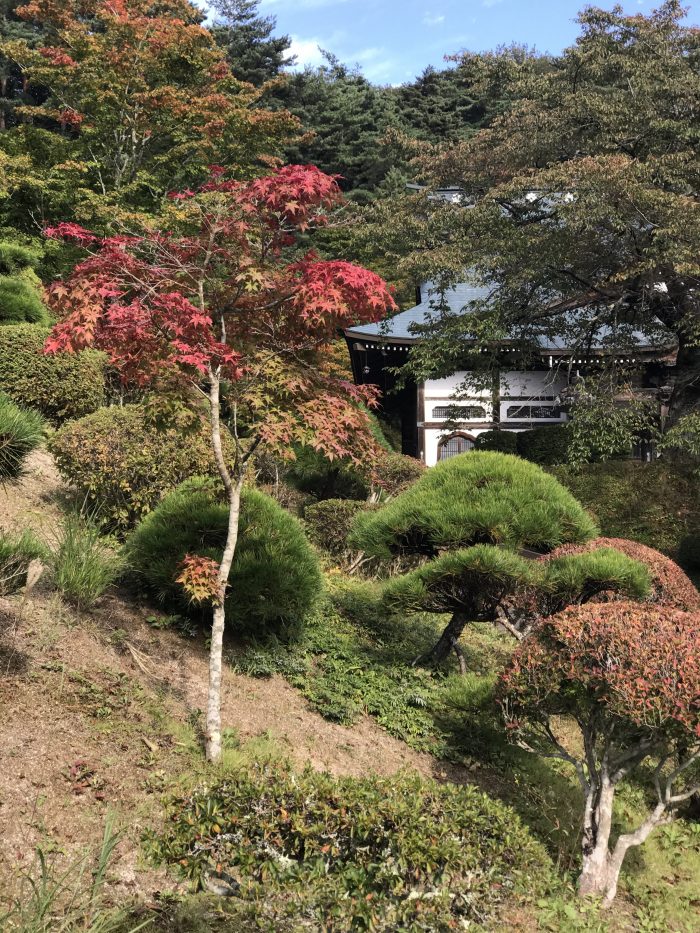 fukusenji tono autumn leaves 700x933 - A day trip from Morioka to Tono, Japan