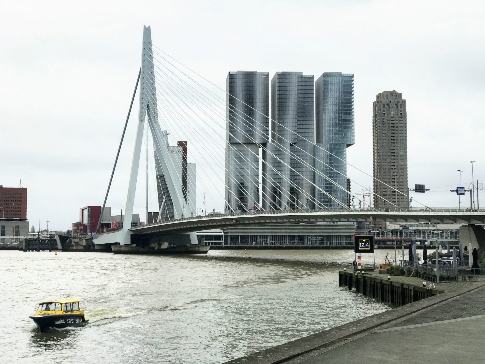 erasmusbrug wilhelminapier kop van zuid - Things to Do in Rotterdam's Kop van Zuid & Wilhelminapier
