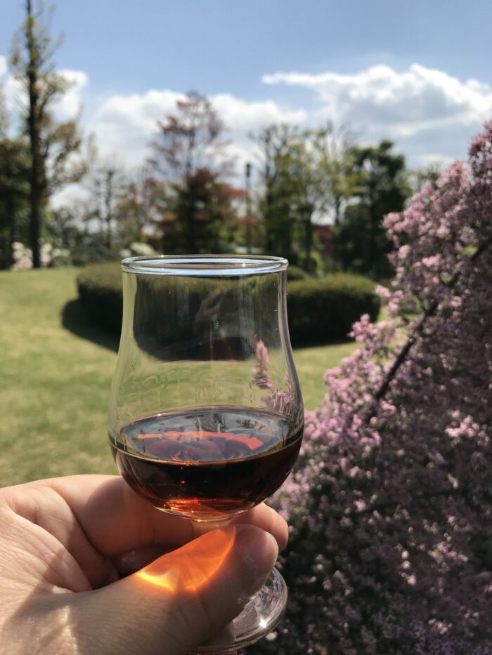 yamazaki whisky cherry blossoms 700x933 - Yamazaki Distillery tour & tasting visit in Japan