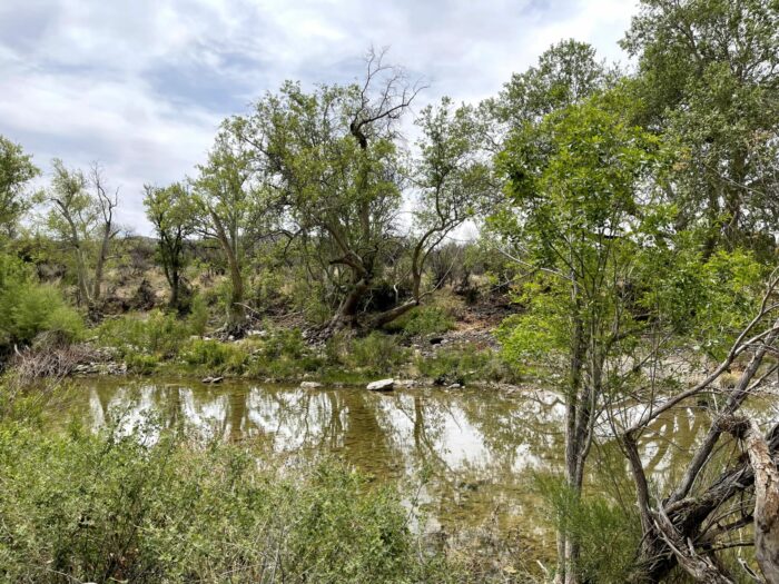 beaver creek arizona 700x525 - Montezuma Castle