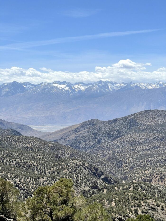 sierra view overlook 700x933 - Ancient Bristlecone Pine Forest - Home of the Oldest Trees in the World