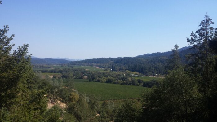 napa day trip 700x394 - 35 Best Day Trips from San Francisco