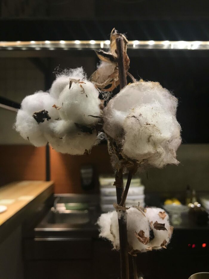 disfrutar cotton candy 700x933 - Disfrutar in Barcelona, Spain: One of the Most Amazing Dining Experiences of My Life