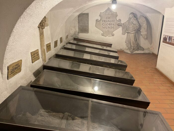 brno capuchin crypt benefactors 700x525 - 28 Best Things to Do in Brno, Czech Republic
