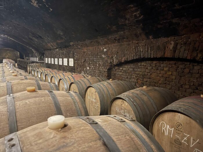bzenec castle winery barrels 700x525 - Bzenec Castle Winery & Bzenec Castle