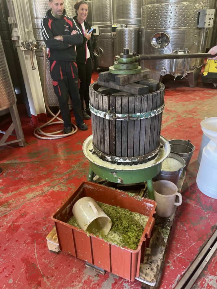 pressing grapes for wine 700x933 - From Grape to Glass: Winemaking in South Moravia at Skalák Winery