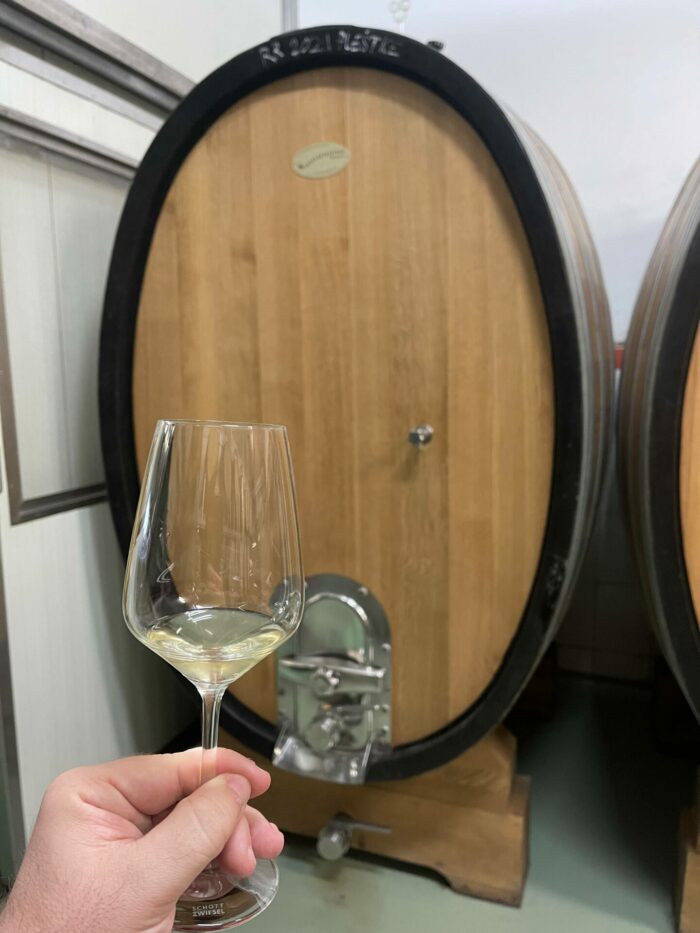 spielberg winery cellar wine tasting 700x933 - Spielberg Winery