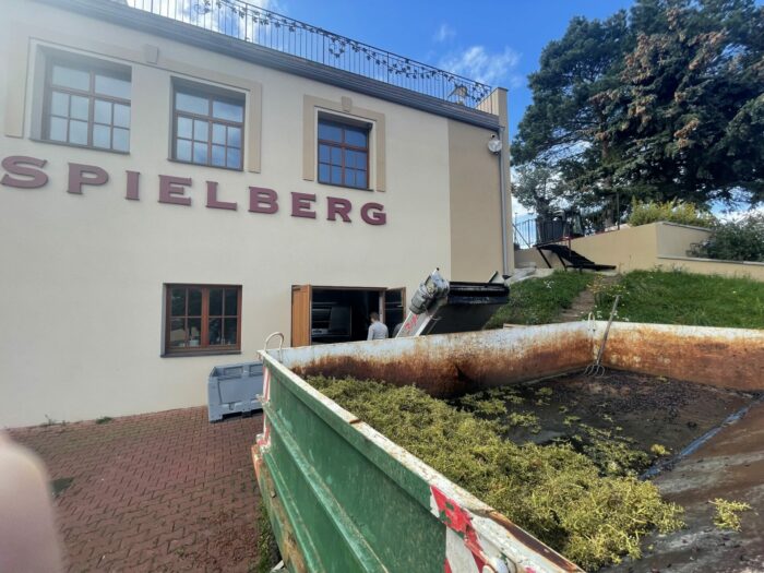spielberg winery grape processing 700x525 - Spielberg Winery