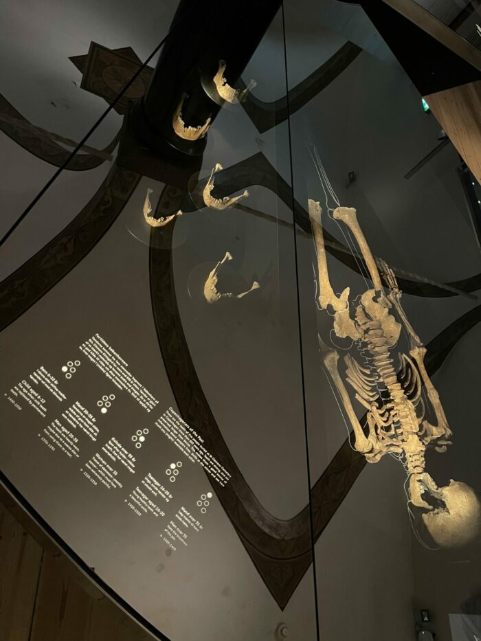 museum of copenhagen skeleton 700x933 - Museum of Copenhagen