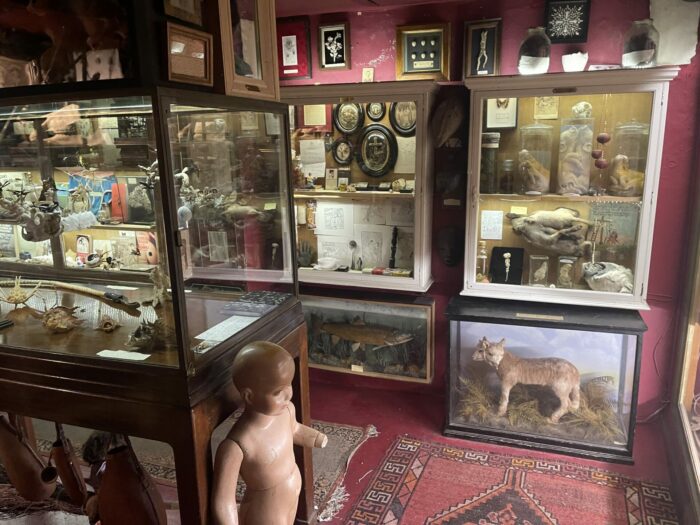 The Viktor Wynd Museum of Curiosities, Fine Art & UnNatural History and The Last Tuesday Society & Absinthe Parlour