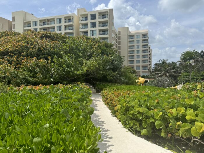 park royal cancun mayan ruins path to westin 700x525