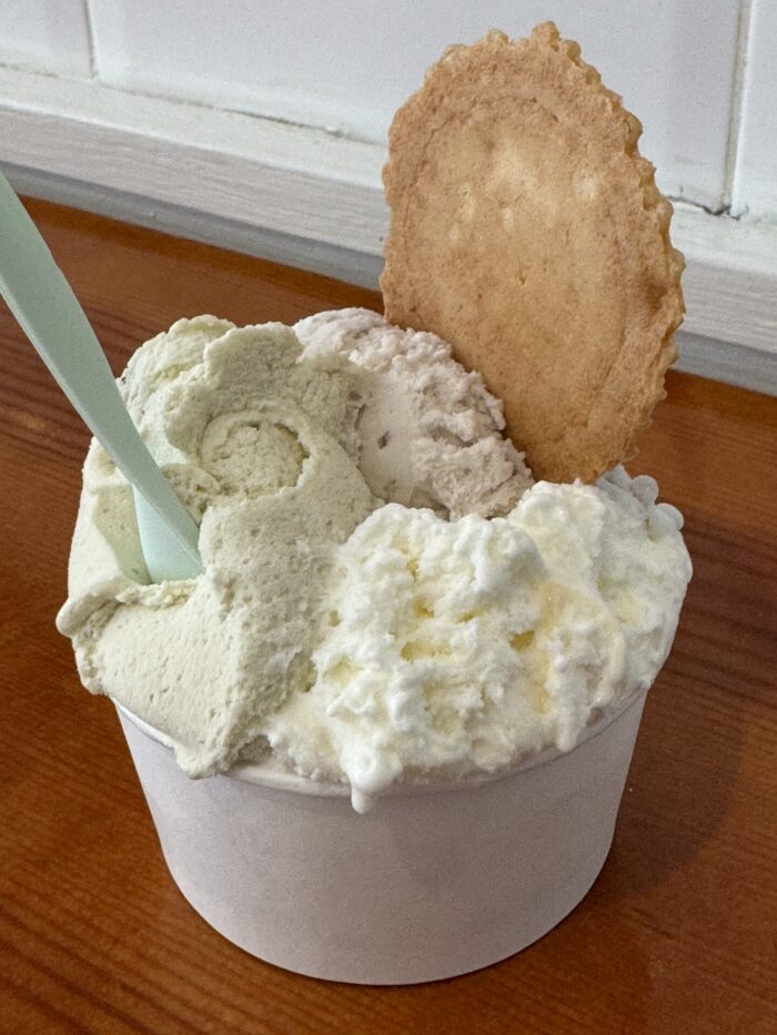 narigoni gelato cadiz ice cream 700x933