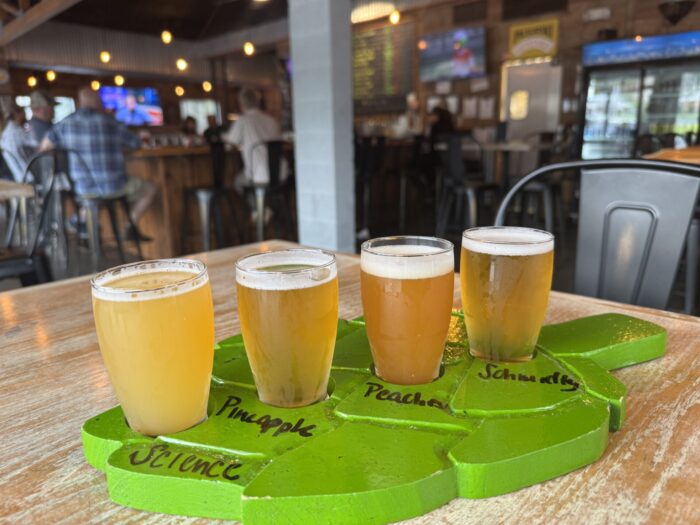shaylor brewing company craft beer reading flight 700x525