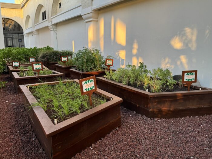 What The Food And Drink Is Like At A Luxury All-Inclusive Resort In Cancun, Mexico marriott cancun all inclusive herb garden 700x525