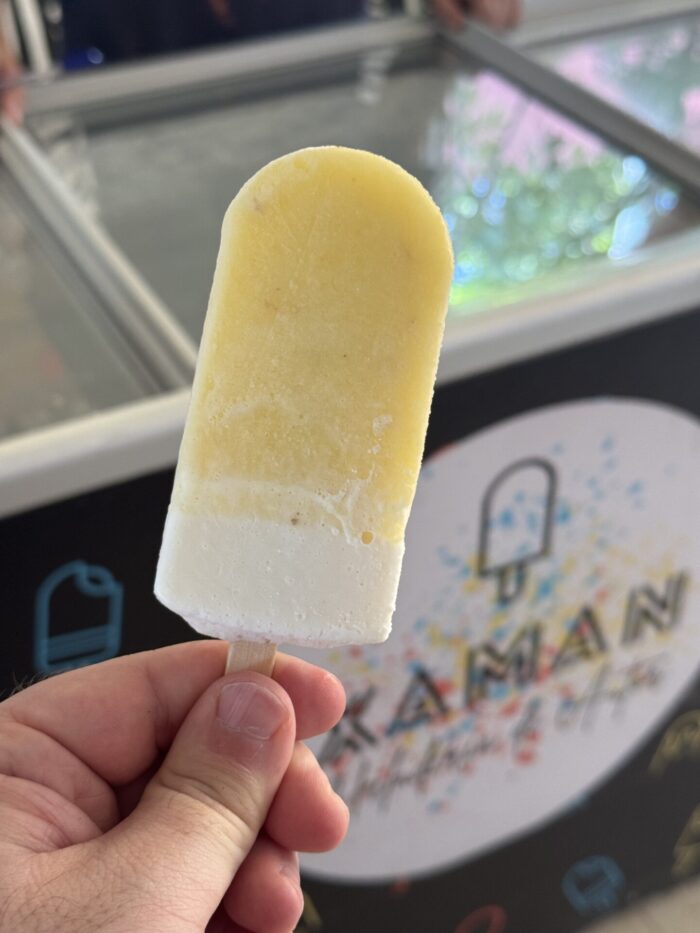 best paletas merida xaman 700x933