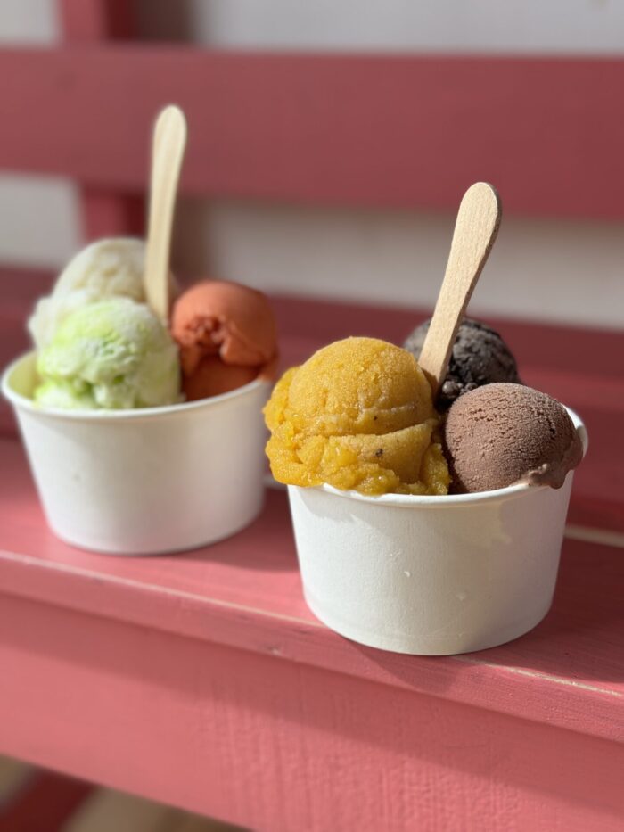 nixy paletas caty juanito best ice cream oaxaca nieves 700x933