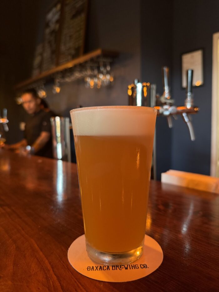 8 Great Places for Craft Beer In Oaxaca, Mexico oaxaca brewing company 700x933