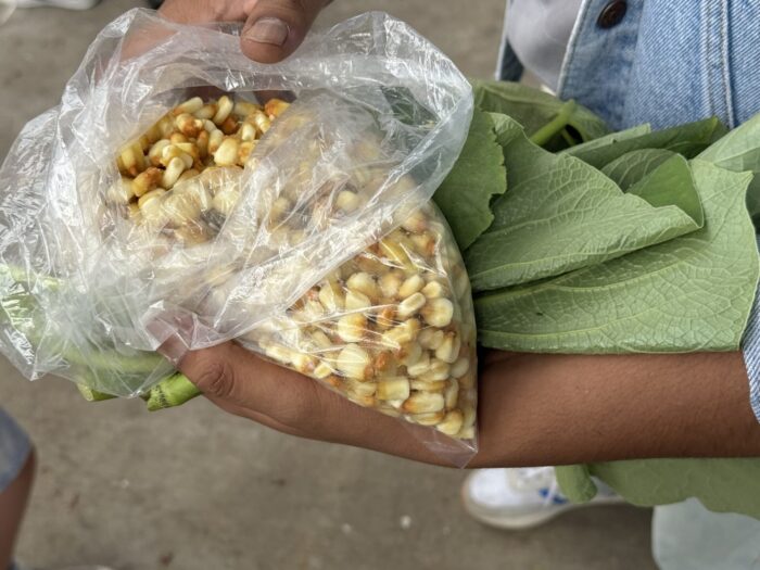 earth corn fire culinary backstreets oaxaca food tour 700x525