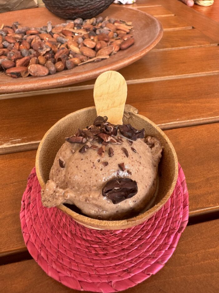 flor cacao oaxaca ice cream 700x933