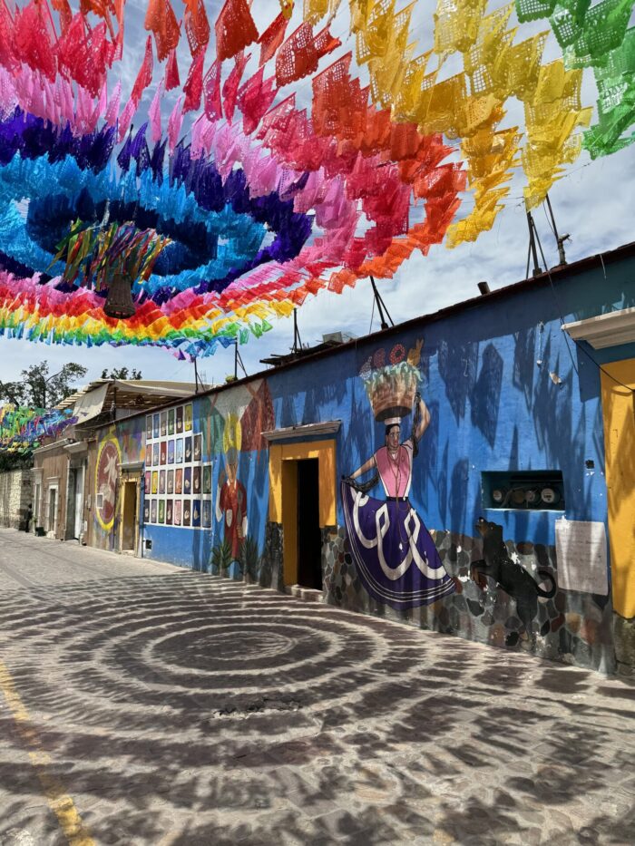 jatalaco oaxaca 700x933