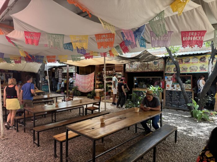 la cosecha mercado organico oaxaca mexico 700x525