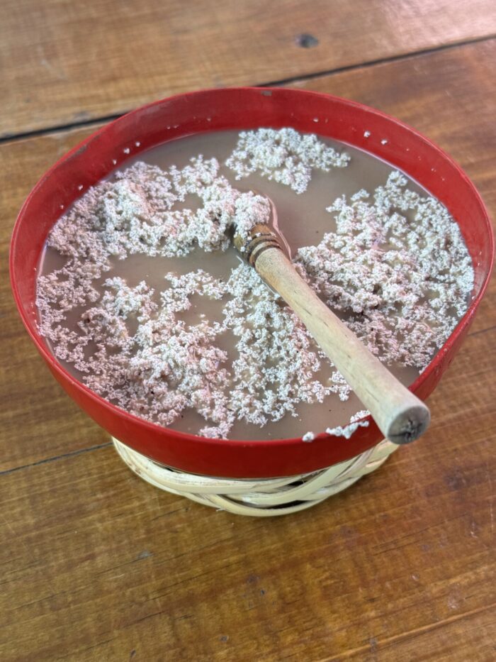 tejate oaxaca 700x933