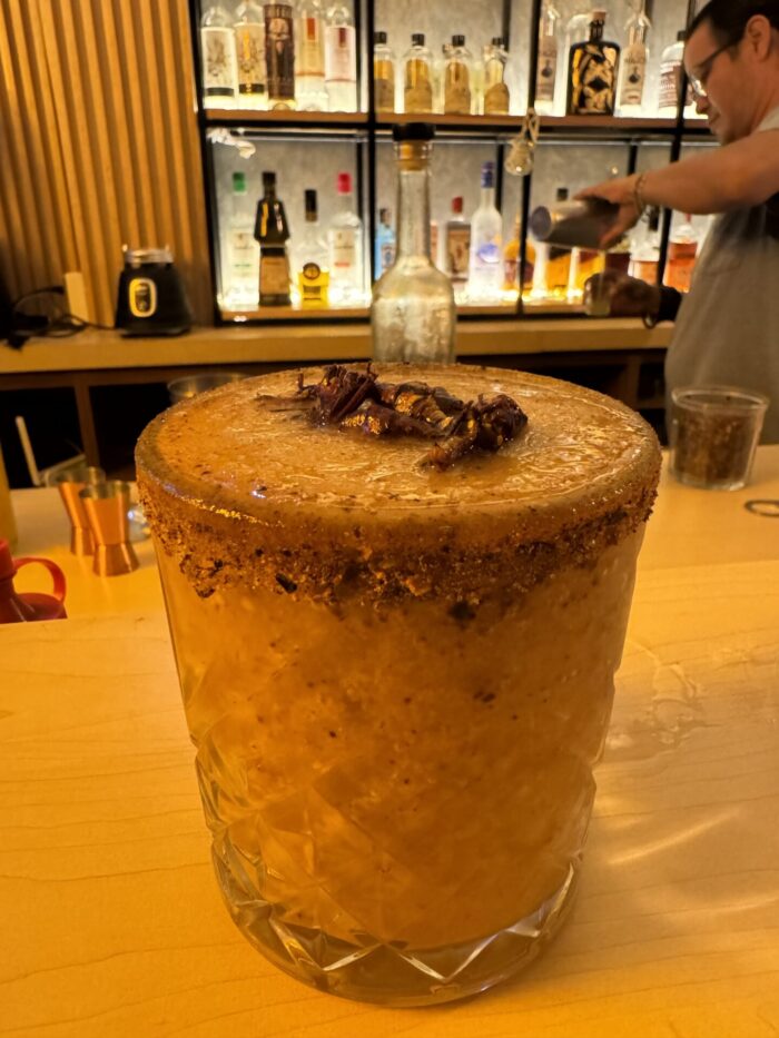 mezcaleria hora magica cocktails oaxaca uxharu chapulines 700x933