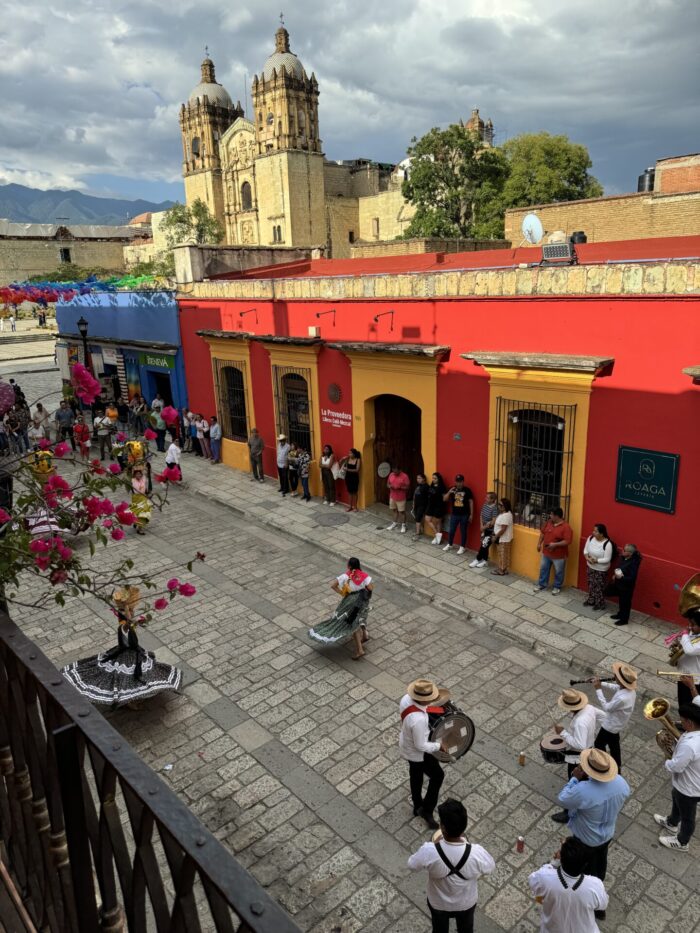 selva oaxaca rooftop view cathedral anador turistico 700x933